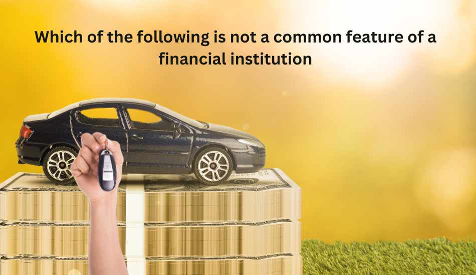 Which of the following is not a common feature of a financial institution